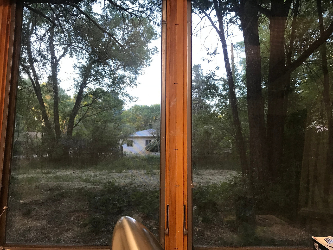 2018-06-08 19.54.39.jpg