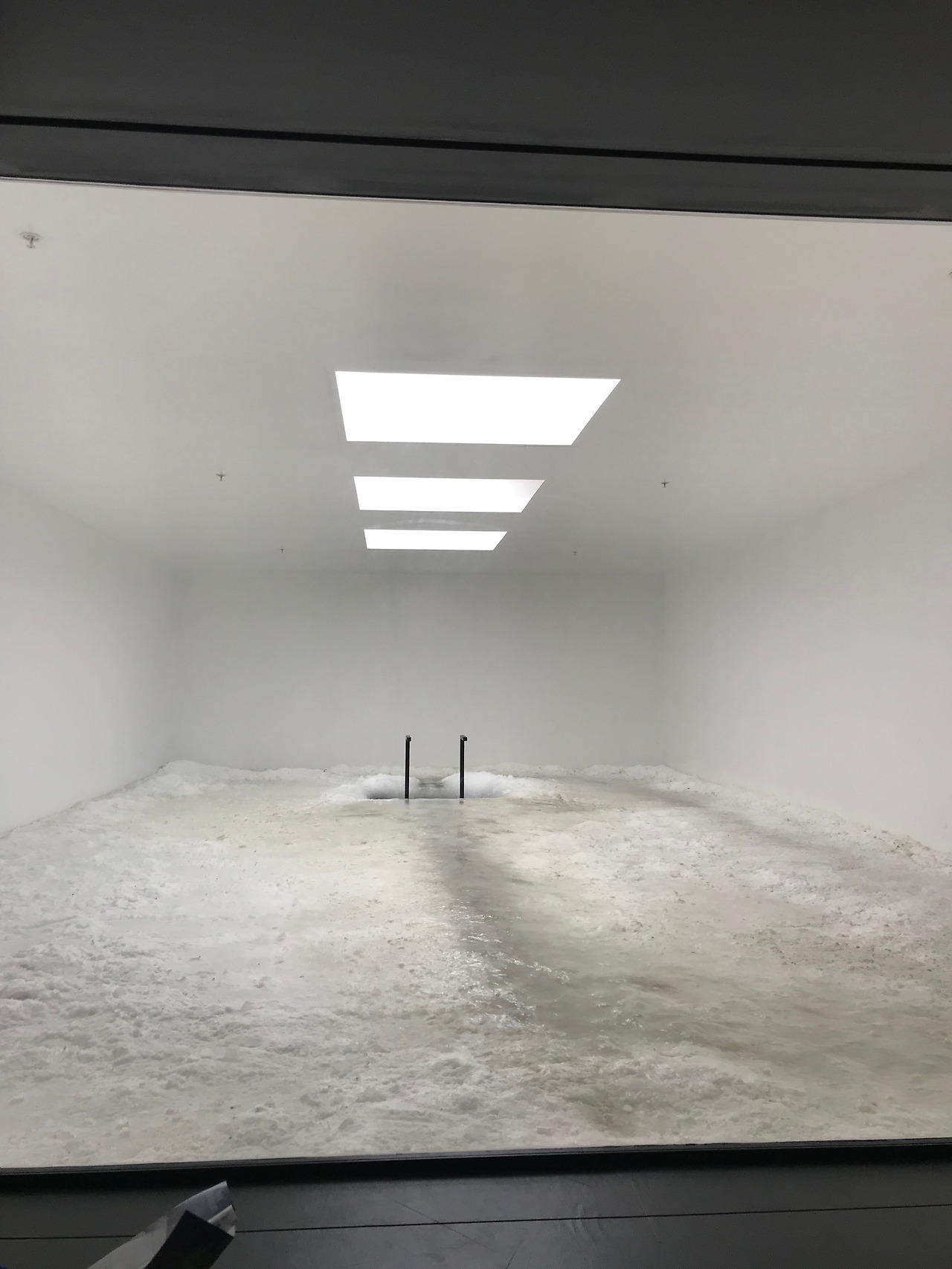 2019-01-27 12.44.48.jpg