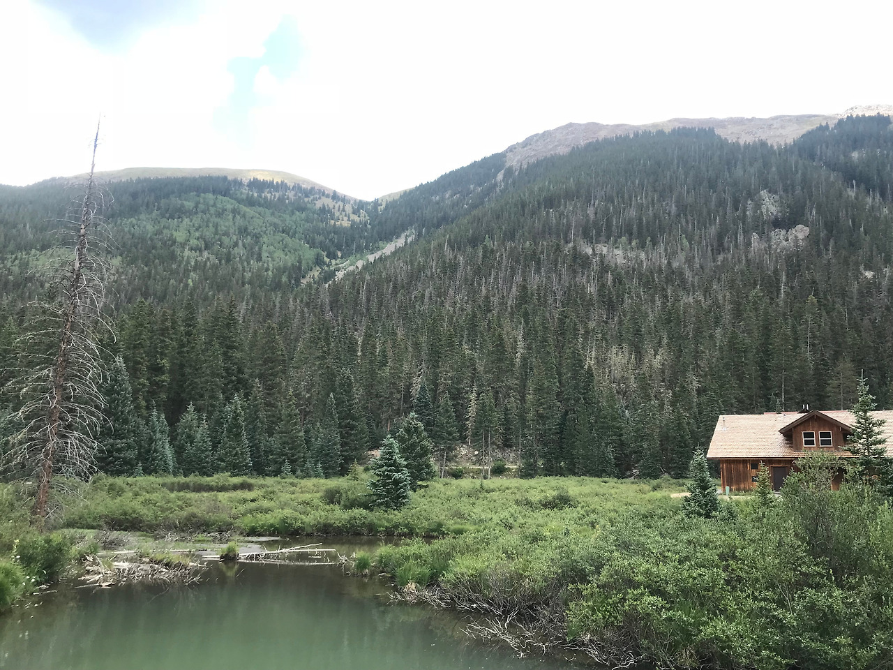 2018-07-19 13.24.22.jpg