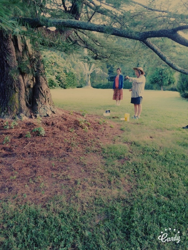 2016-08-27 19.33.26.jpg