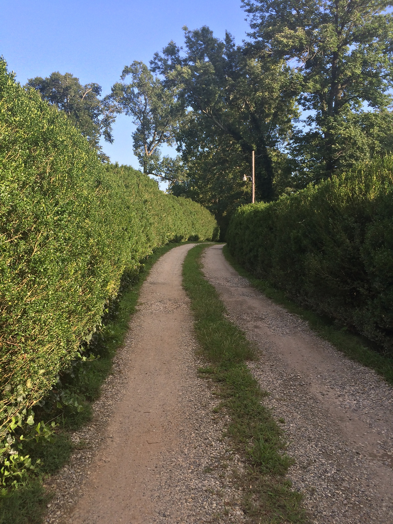 2016-08-11 18.13.10 HDR.jpg