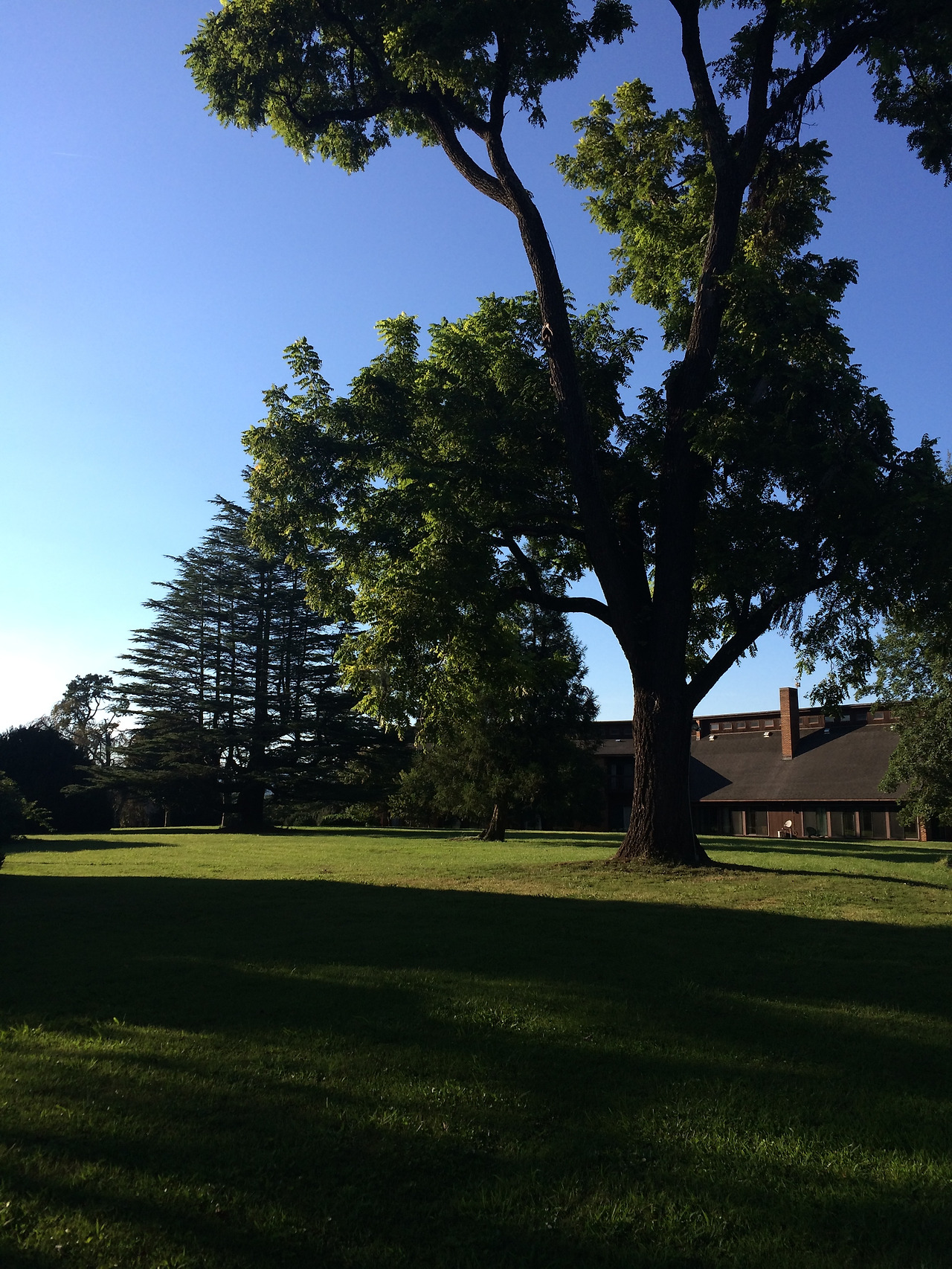 2016-08-23 18.25.30.jpg