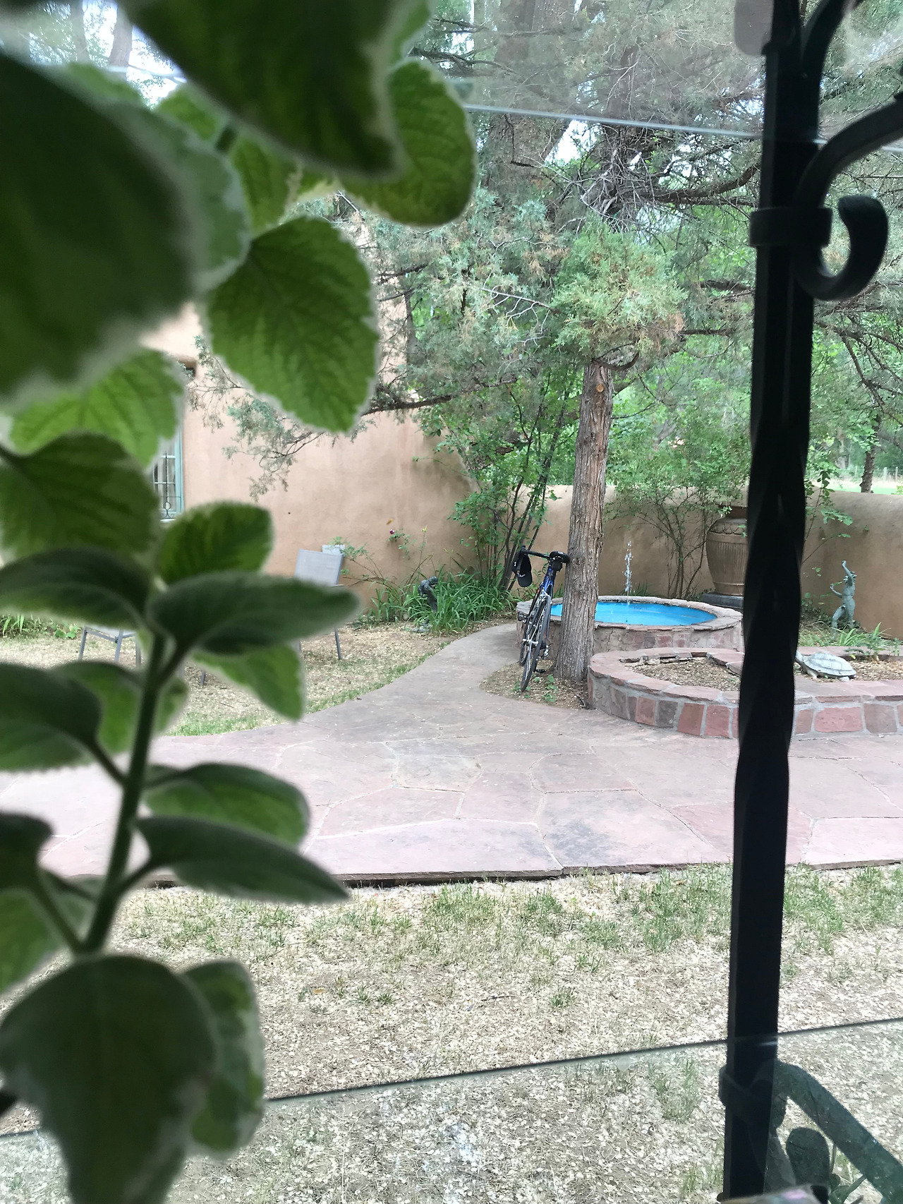 2018-06-13 15.52.44.jpg