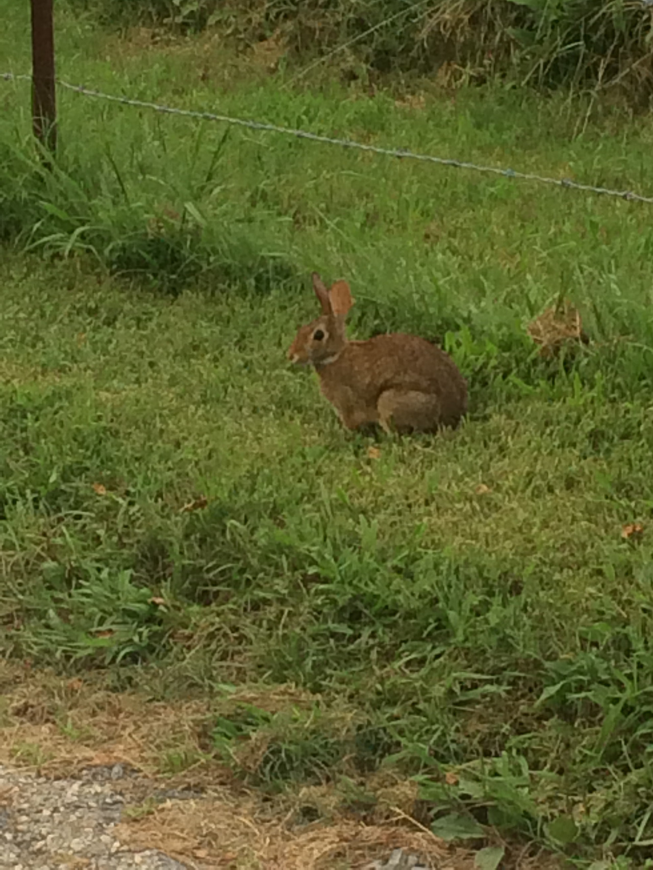 2016-08-19 19.27.07.jpg