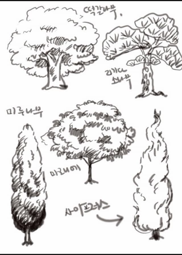 나무 설명 그림.jpg