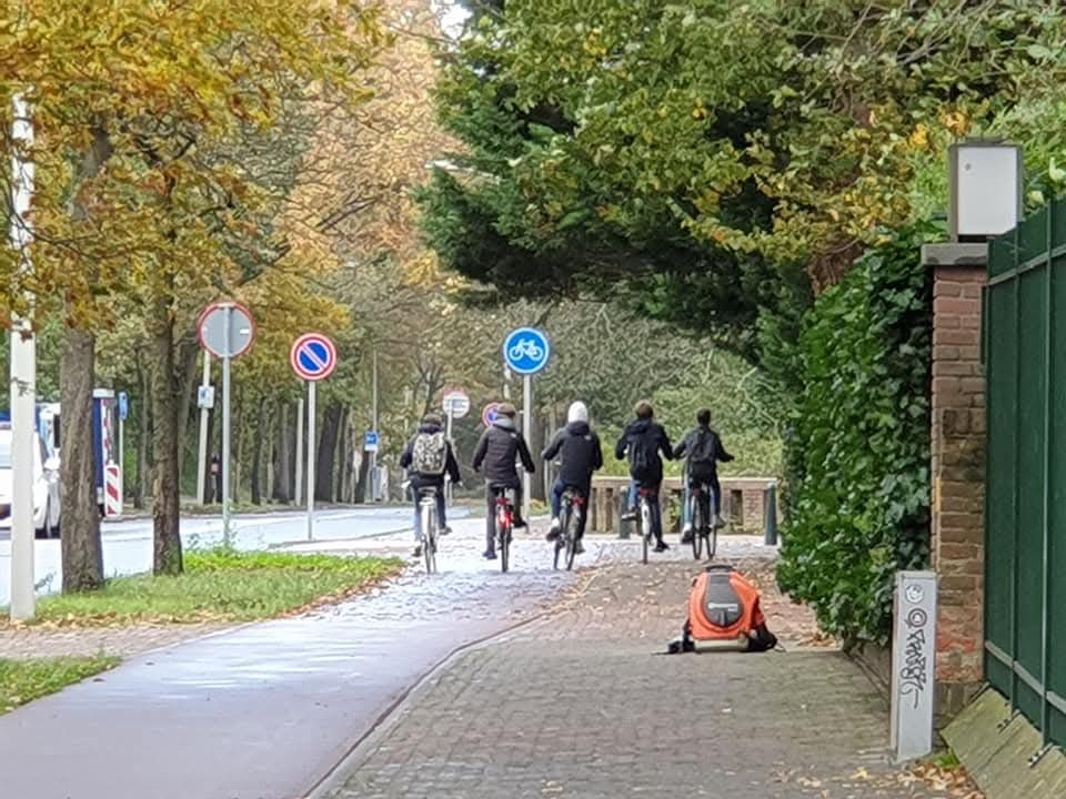 아이들 자전거.jpg