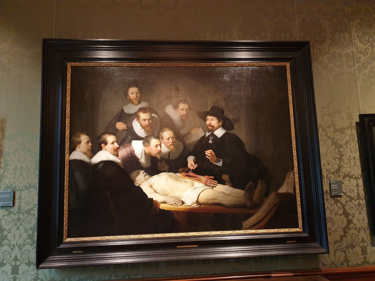 해부학 강의.jpg