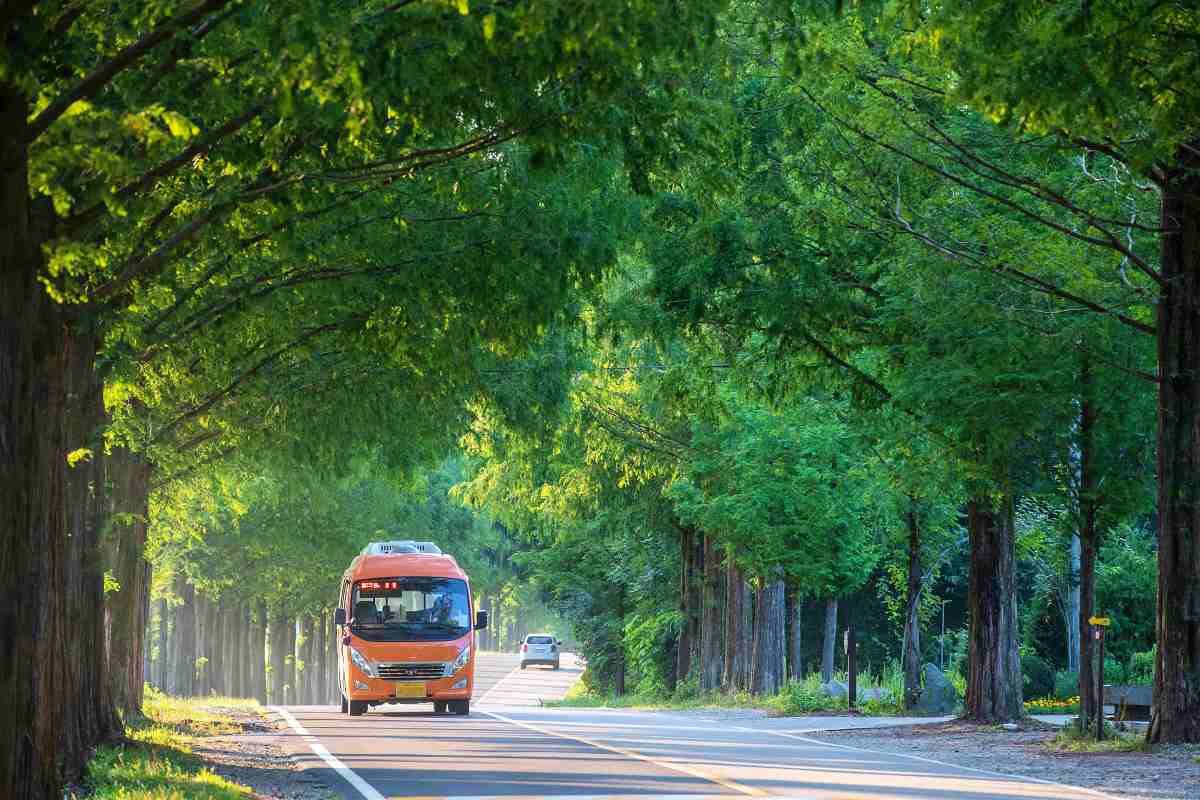 zfdfdfKPgP5a_진안 모래재.jpg