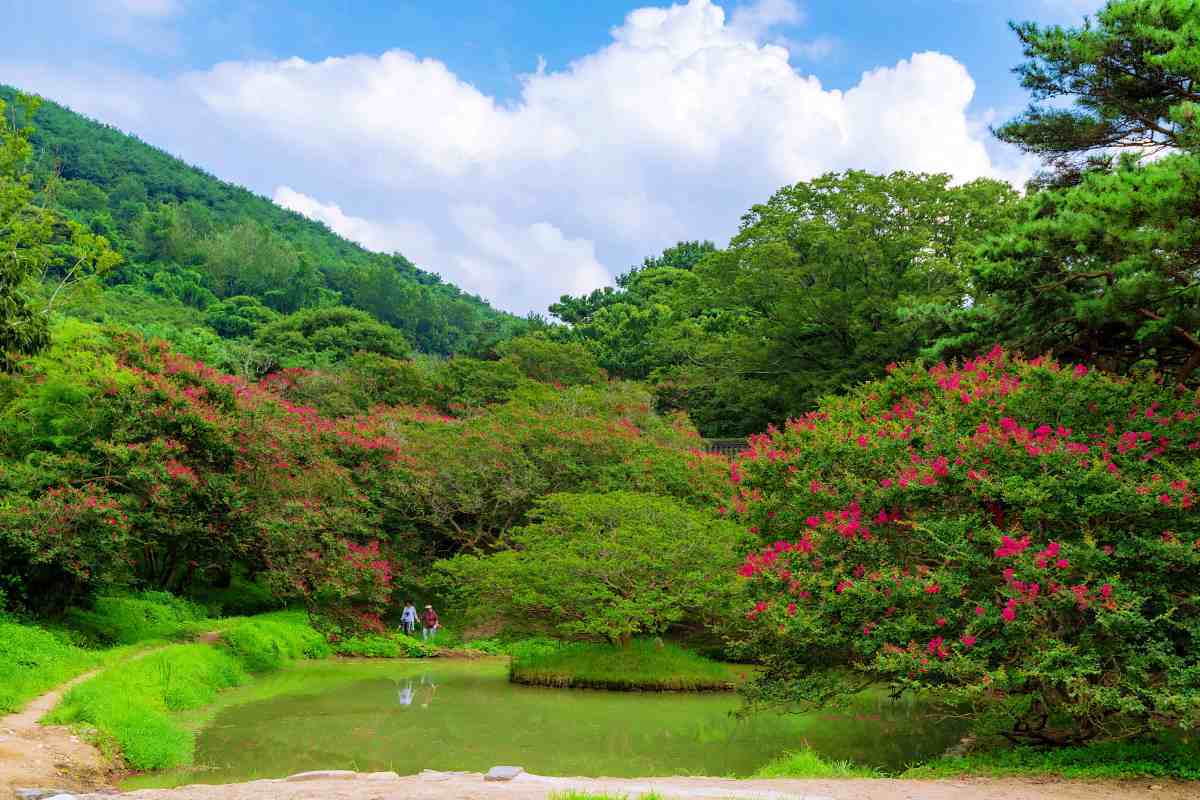 zfdfdfjYJEtH_담양 명옥헌 원림.jpg