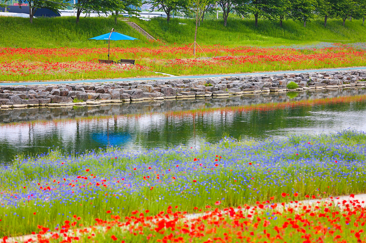 galleryImgView (1).jpg