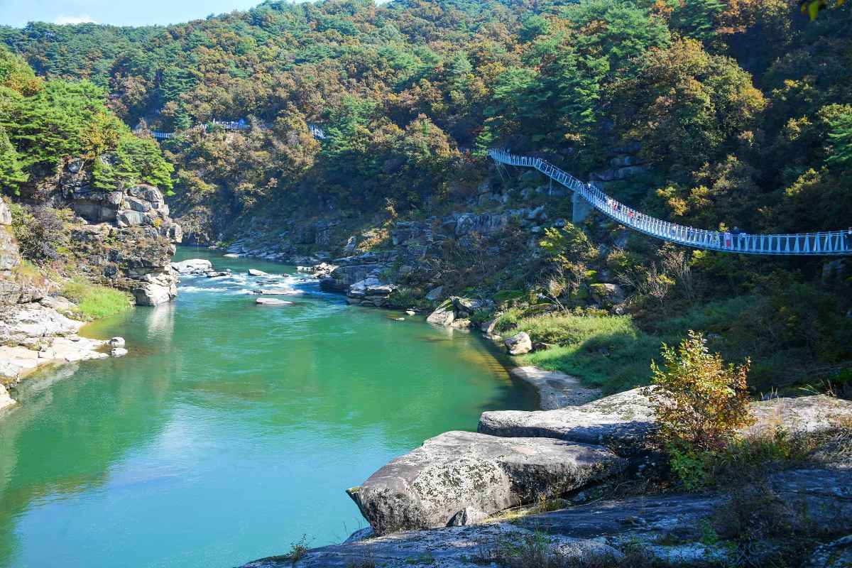 zfdfdfType1_철원 한탄강 주상절리길_라이브스튜디오_7lWxVQ.jpg