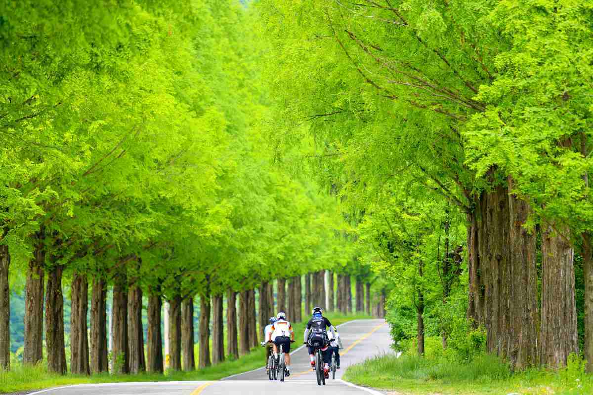 zfdfdf42t2Ga_모래재의 오월.jpg