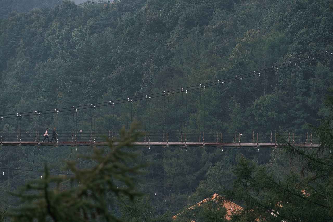 Type1_좌구산 명상구름다리_김영호_gkS5lj.jpg