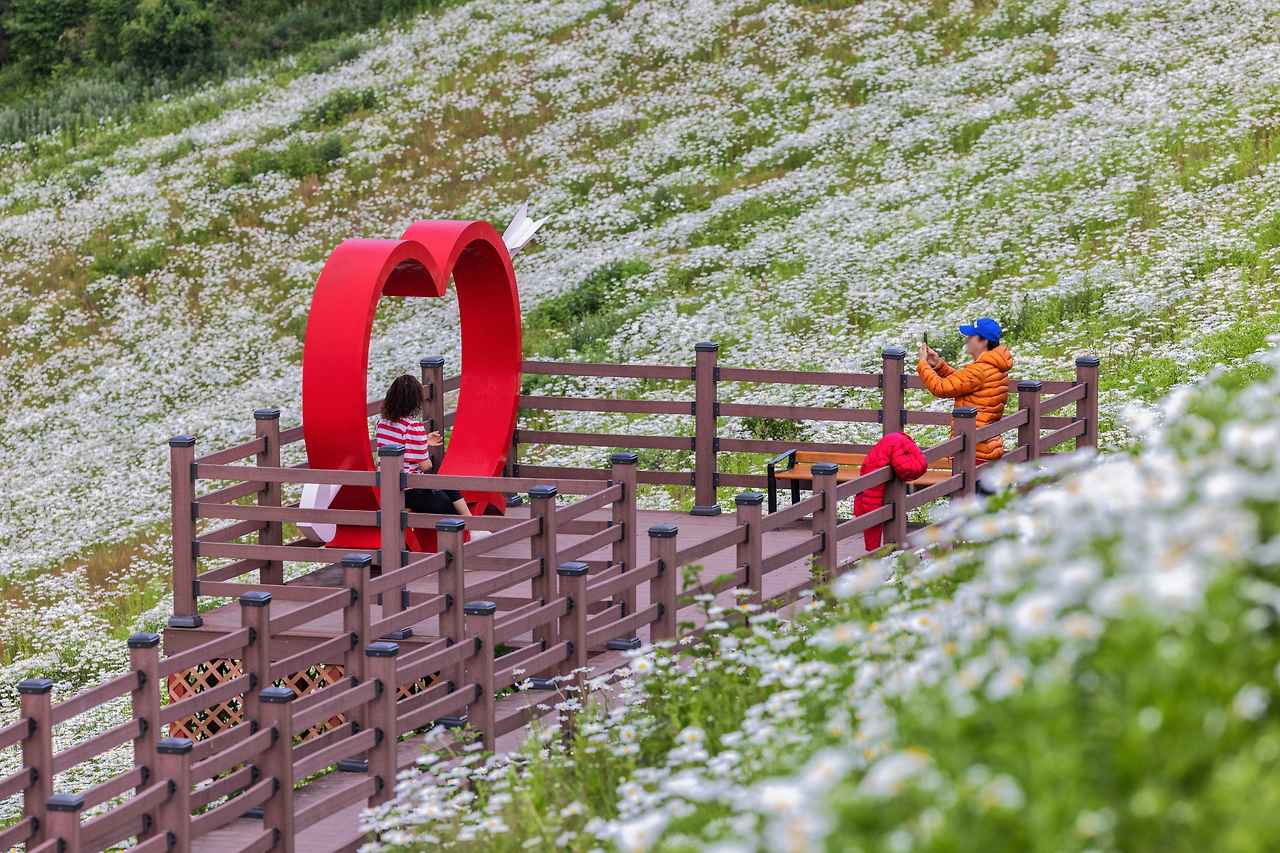 XeItzK_평창 육백마지기.jpg