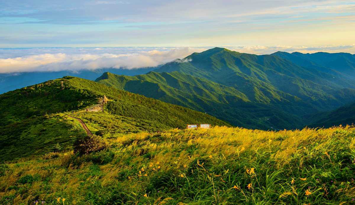 zfdfdfb8pXza_노고단의 아침.jpg