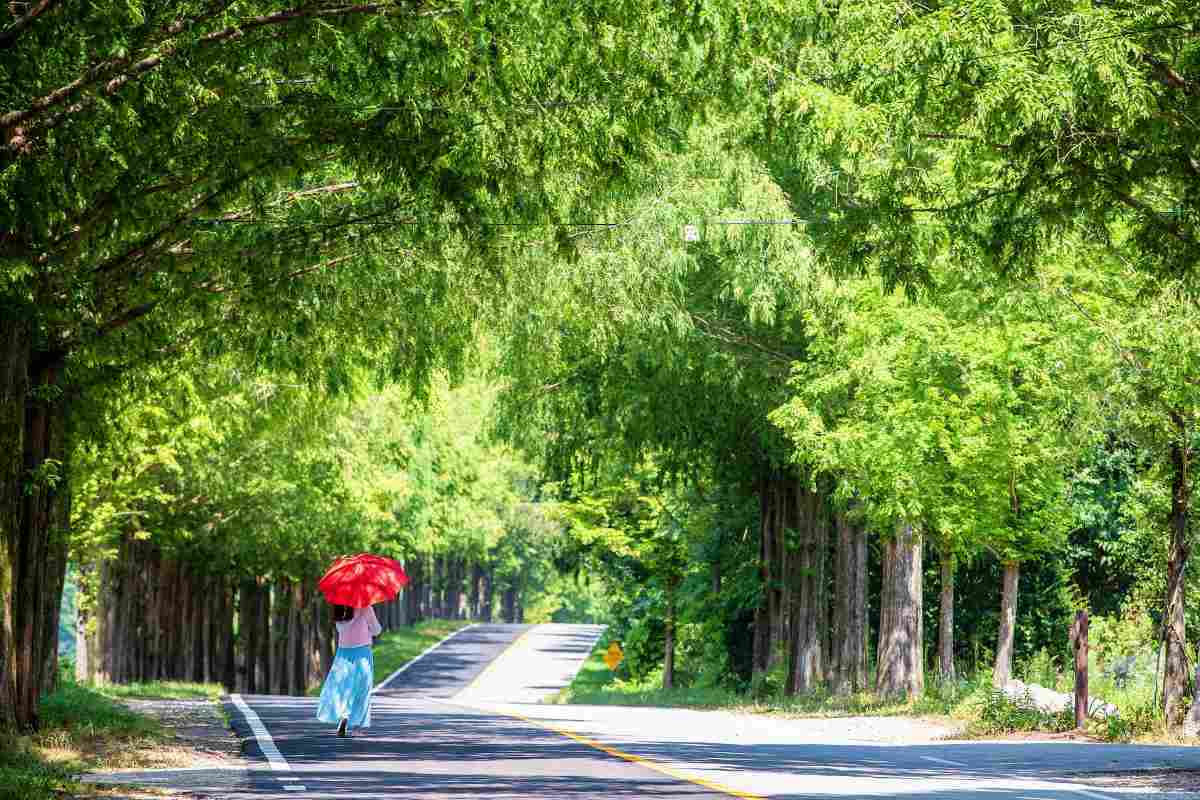 zfdfdfKPgP3a_진안 모래재.jpg