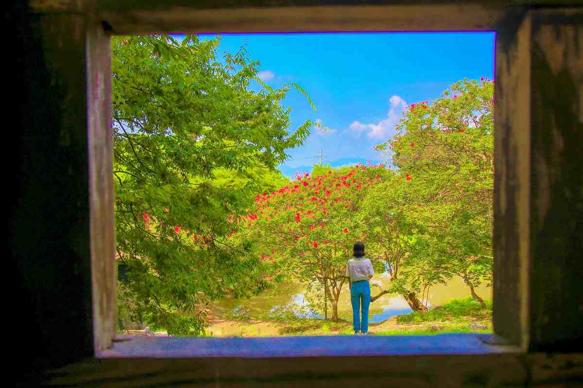 zfdfdfUF7a0d_담양 명옥헌 원림.jpg