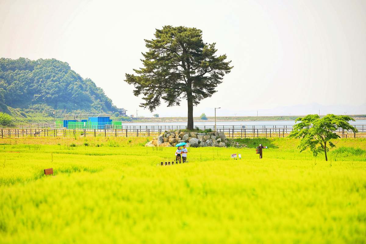 zfdfdf사진21 (2).jpg