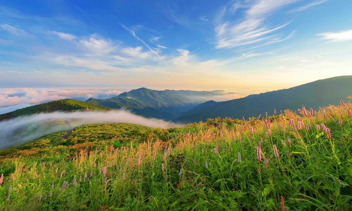 zfdfdfmBLq8a_천상의 노고단.jpg