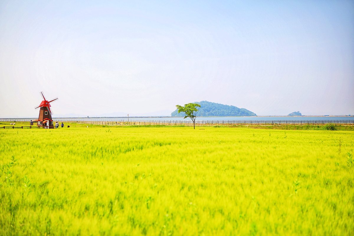 zfdfdf사진1 (1).jpg