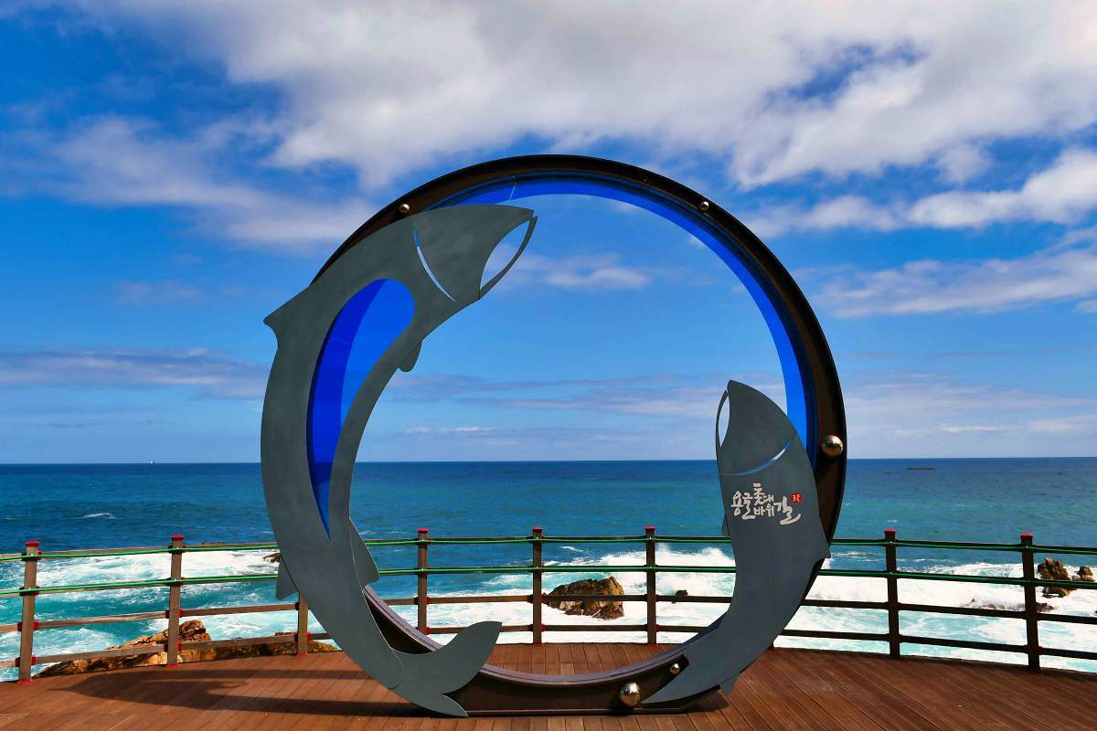 zfdfdfcRYzQa_초곡 용굴 촛대바위길.jpg