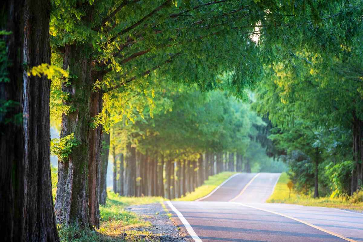 zfdfdfKPgP8a_진안 모래재.jpg