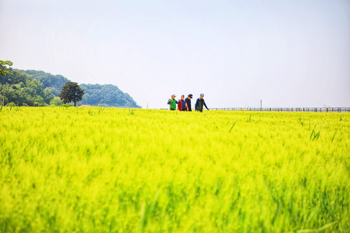 zfdfdf사진12 (1).jpg