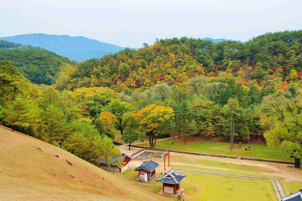 zfdfdf9NUdVa_영월 장릉(단종).jpg