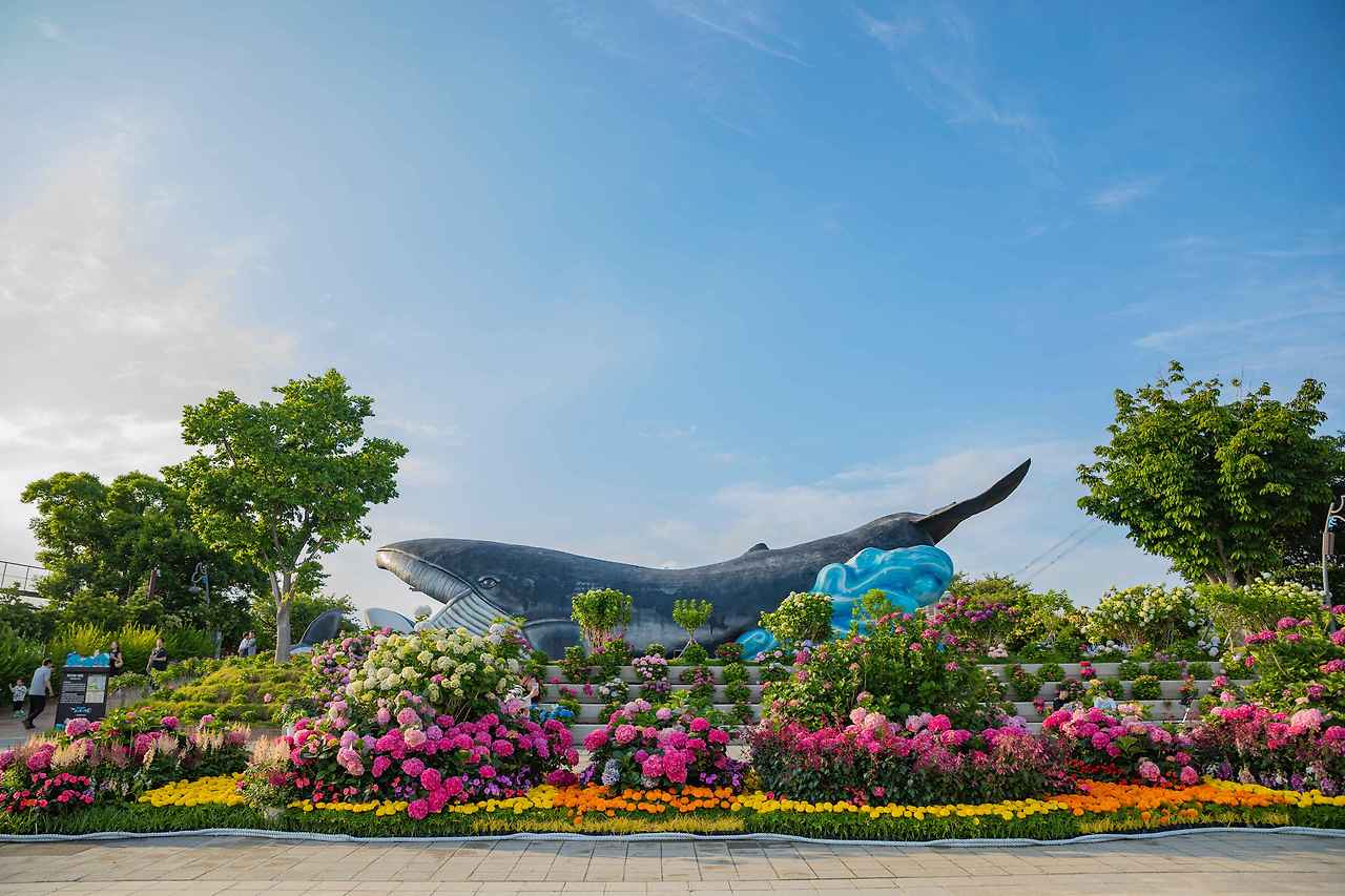 LMPqOz_장생포 수국 페스티벌.jpg