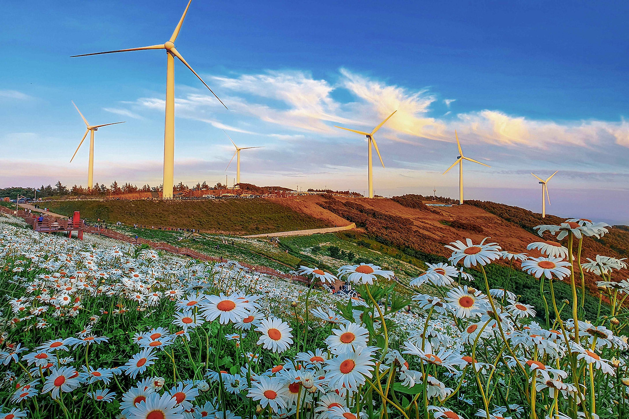 DtkwJa_청옥산의 여름.jpg