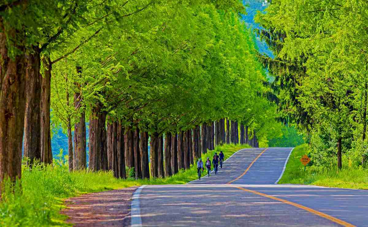 zfdfdfxeUNoa_진안 모래재.jpg