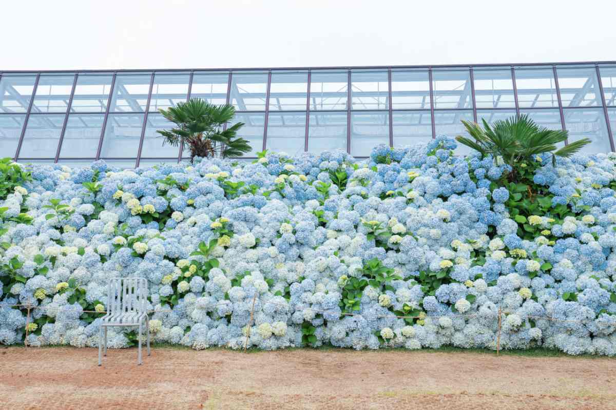 zfdfdf다운로드 (70).jpg