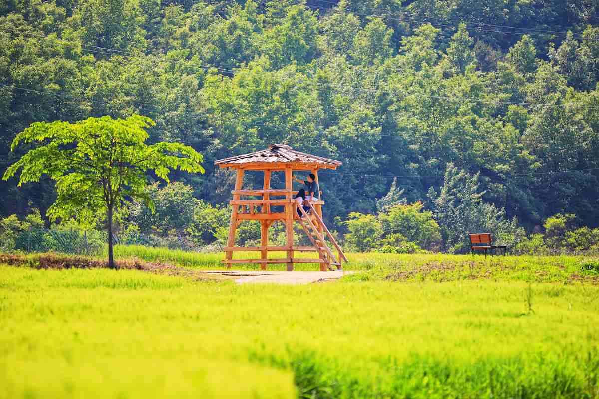 zfdfdf사진14 (2).jpg