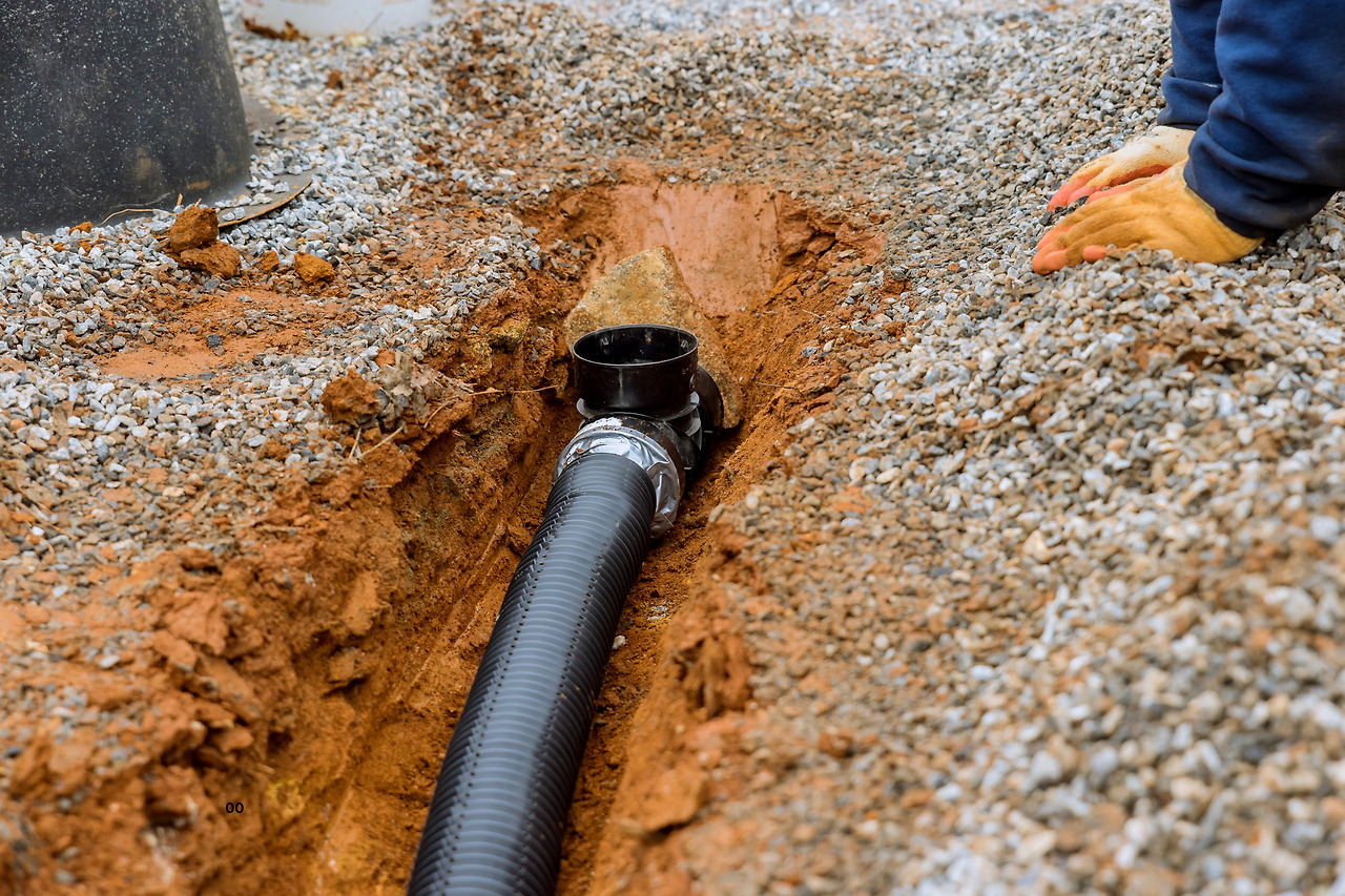 제목을-입력해주세요_-001 (30).jpg