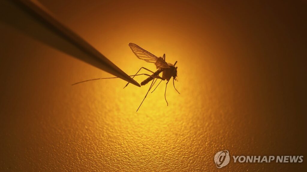 Mosquitoes-reduced-due-to-heat-wave-2-1024x576.jpg
