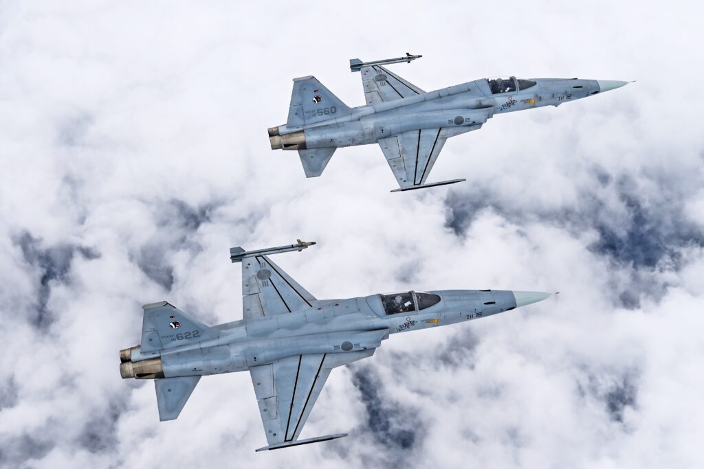 retired-F-5-fighter-jets002-1024x683.jpg
