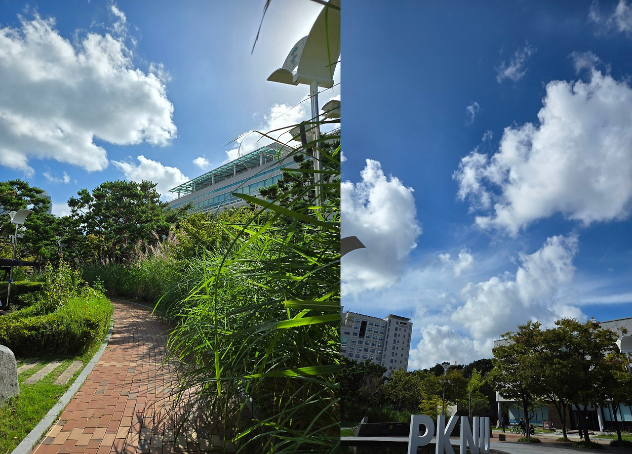 부경대 가을.jpg