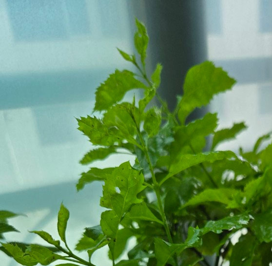 x3_vtjs1l 복사.jpg