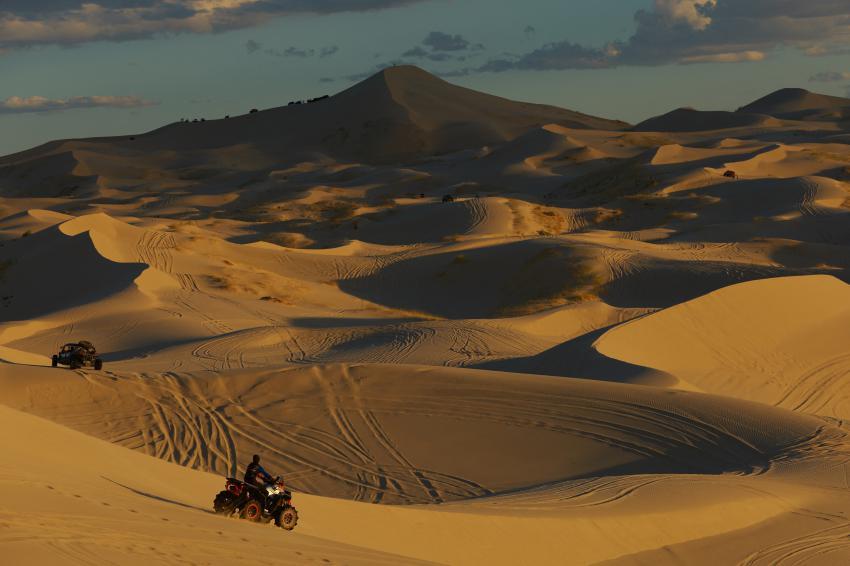 치와와 사막.jpg