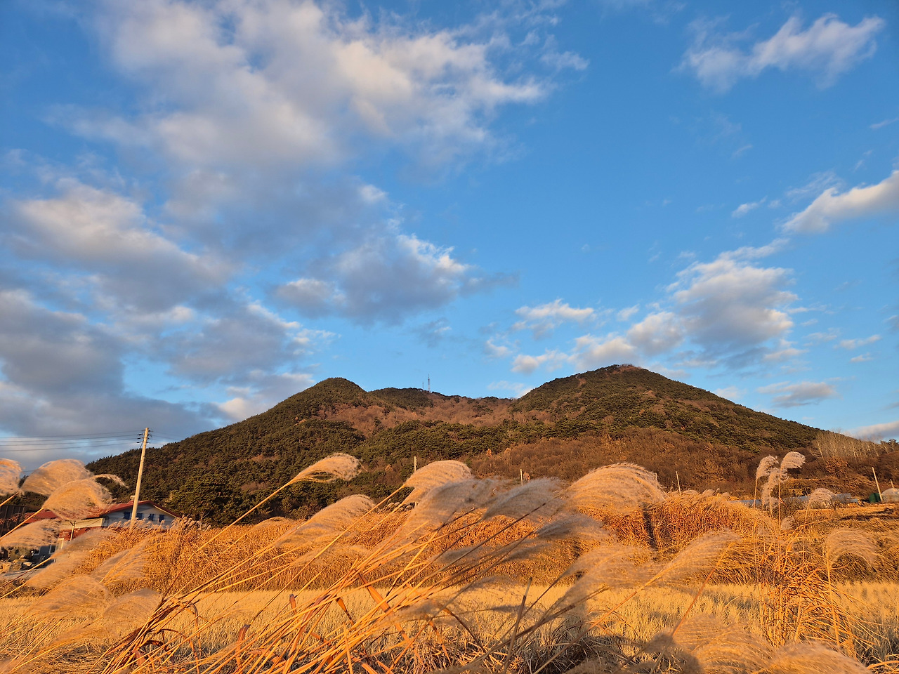 가을의 교룡산.jpg