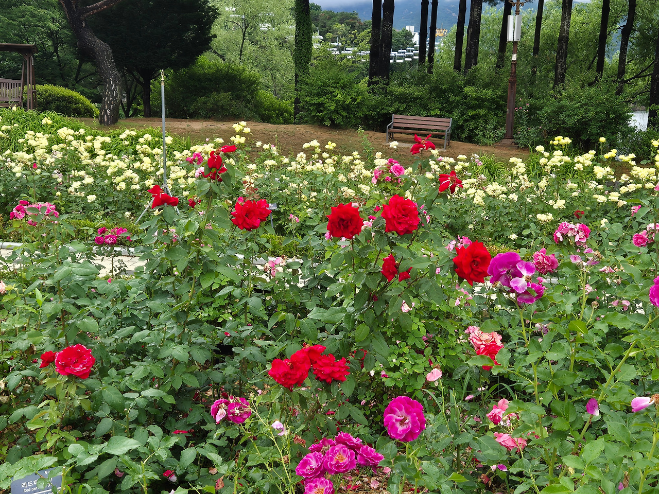 20250620_124539 (1).jpg