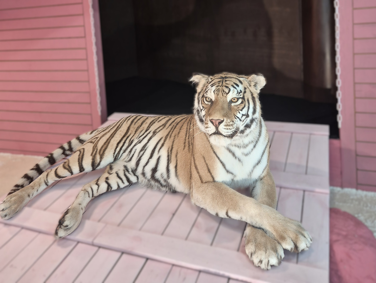 1751268289097 (2).jpg