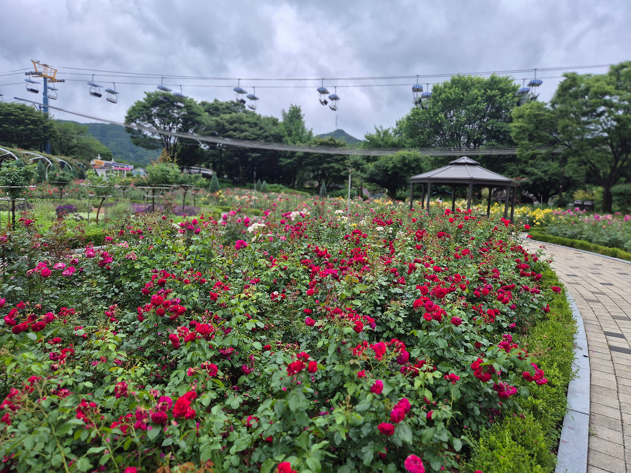 20250620_125115 (2).jpg