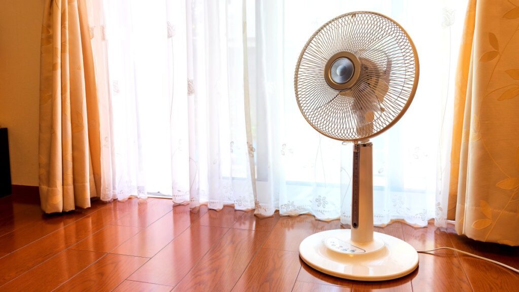 Tips-for-choosing-a-fan-in-summer-1024x576.jpg
