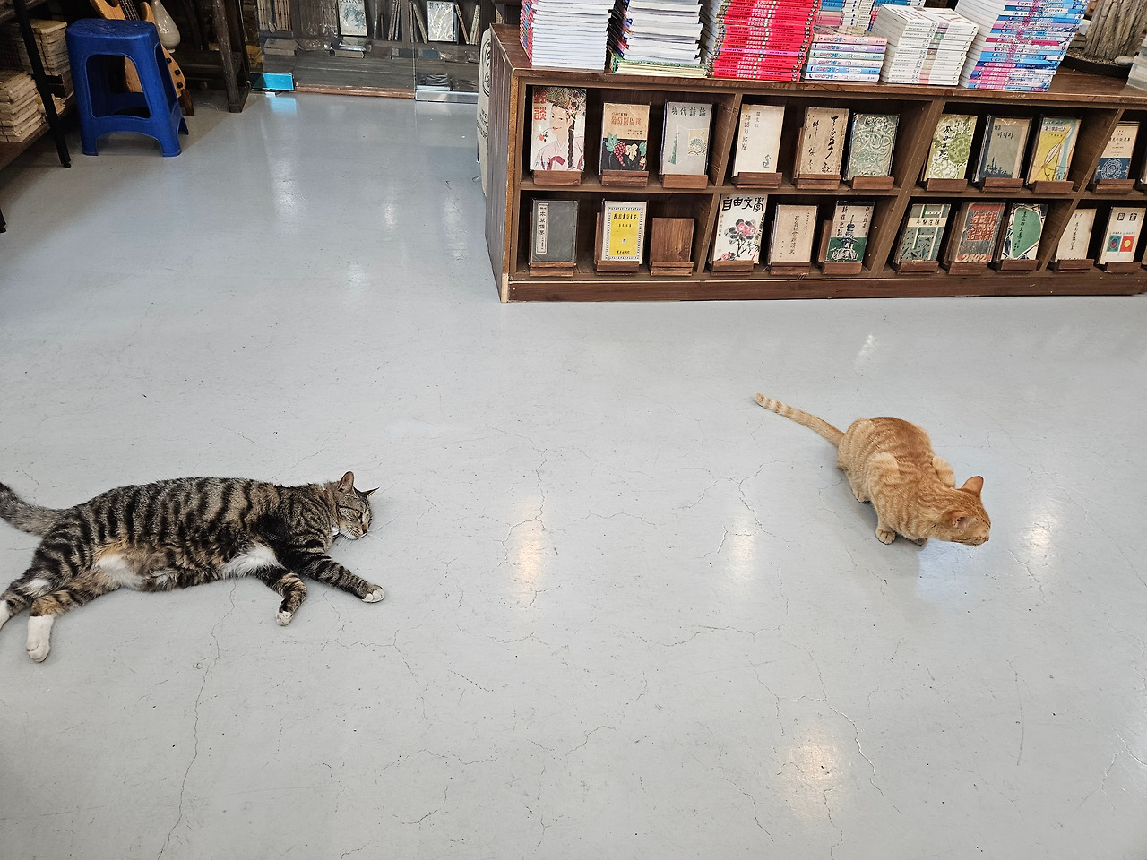 이랑이 덕선.jpg