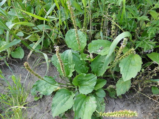 다운로드 (2).jpg