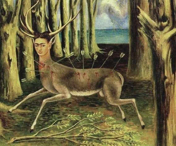 다운로드 (4).jpg