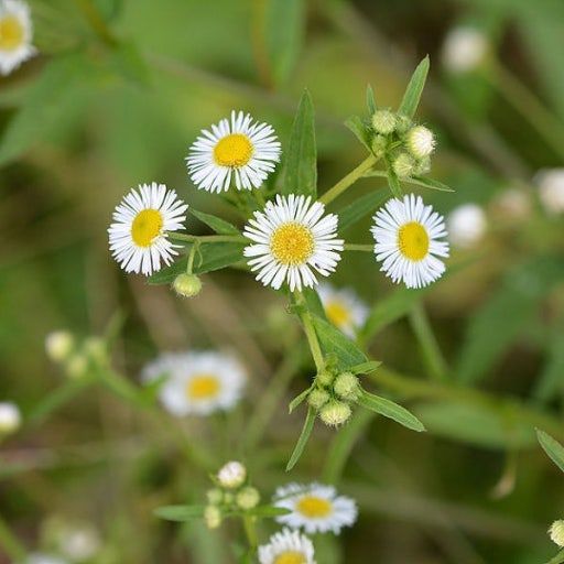 다운로드 (2).jpg