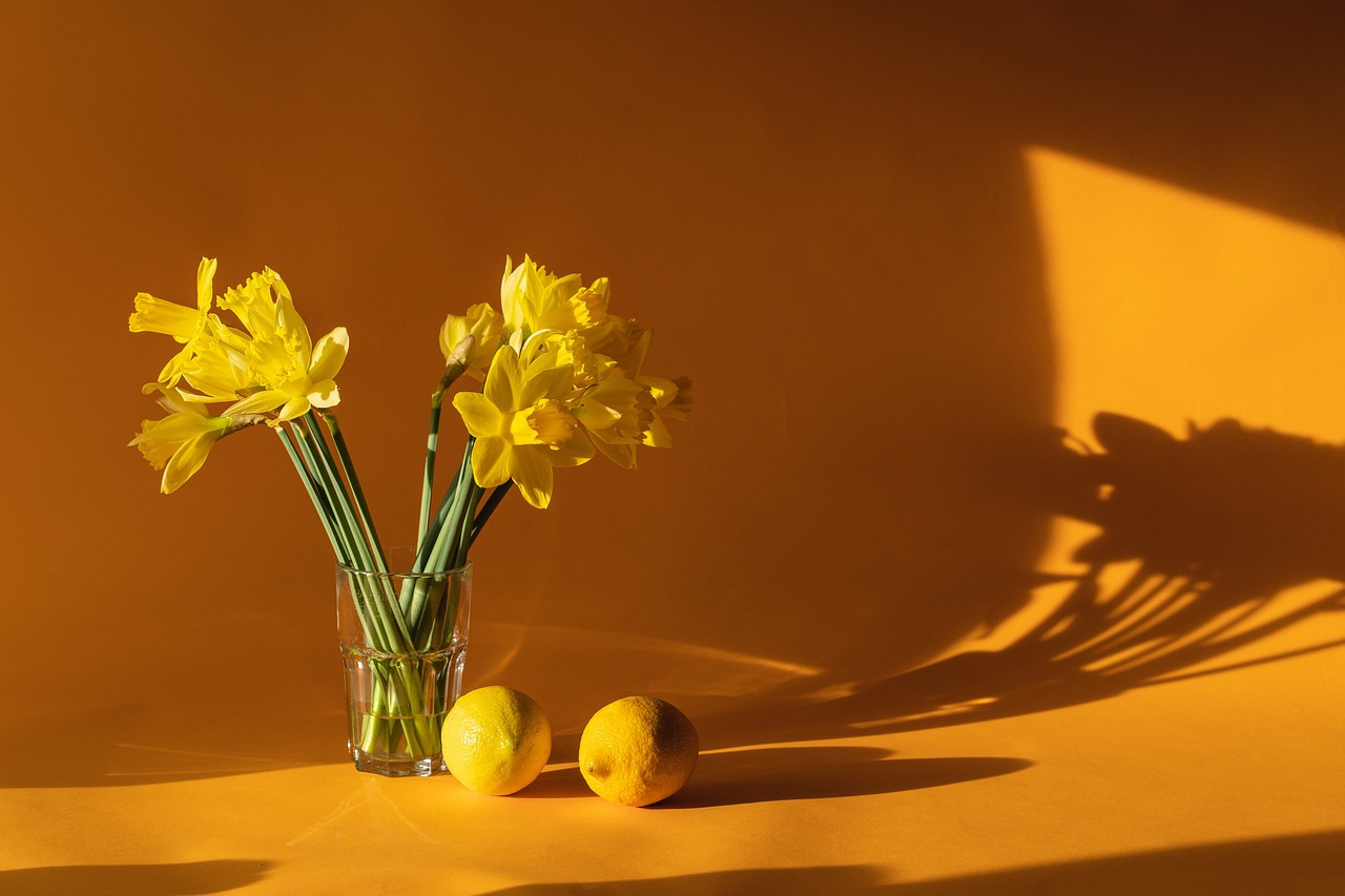 daffodils-6523446_1280.jpg