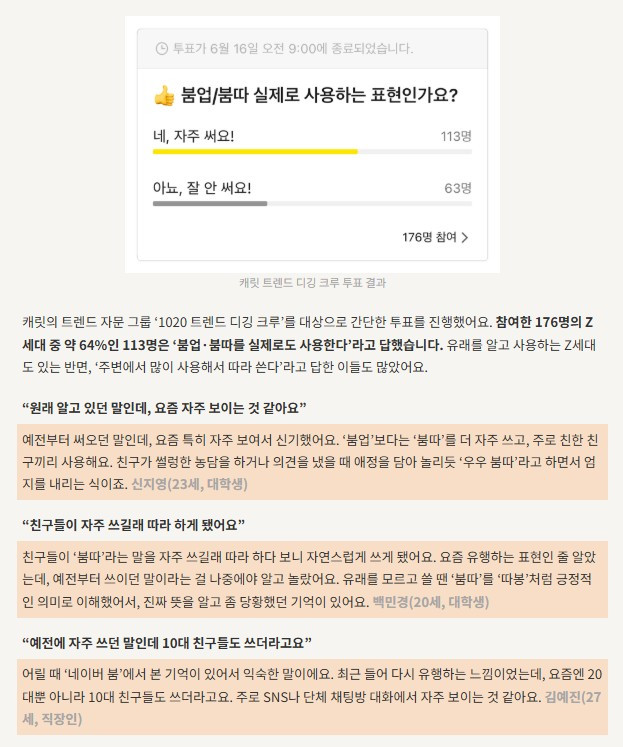 화면 캡처 2025-07-13 123946.jpg